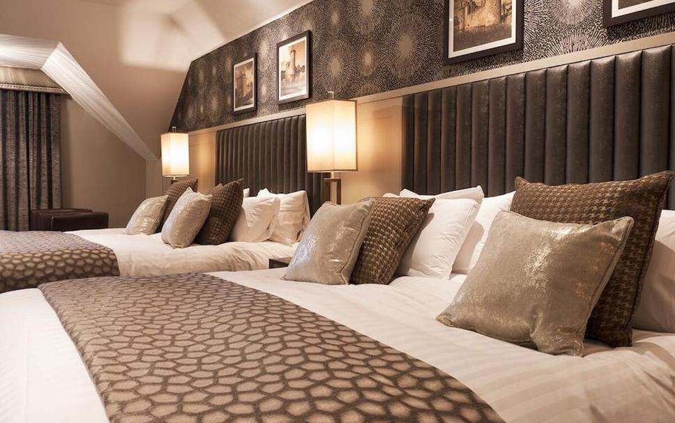 Hotel Tulip Near Delhi Airport 新德里 客房 照片